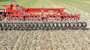 Cultivating Feed