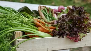 Organic Vegetables