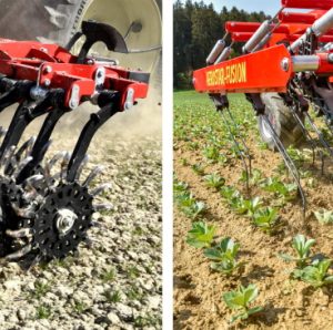 Einbock Cultivation
